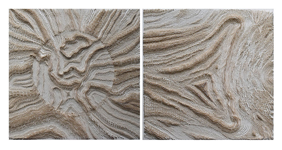 Approach without your Preoccupied Knowledge (Diptych), 2019