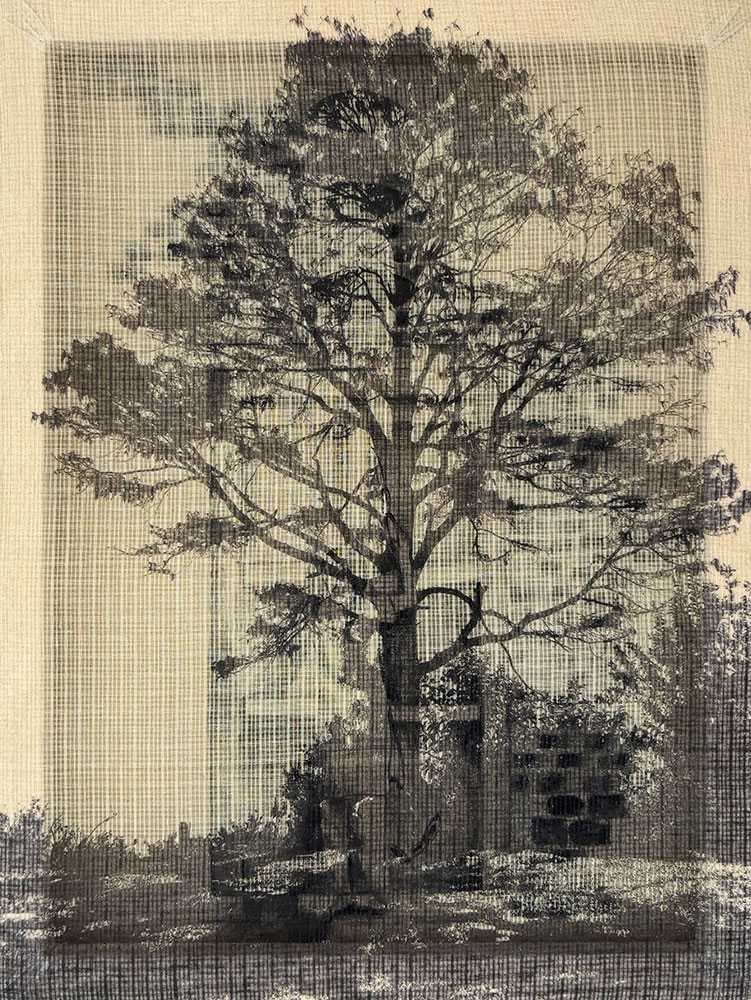 <Untitled , 2025