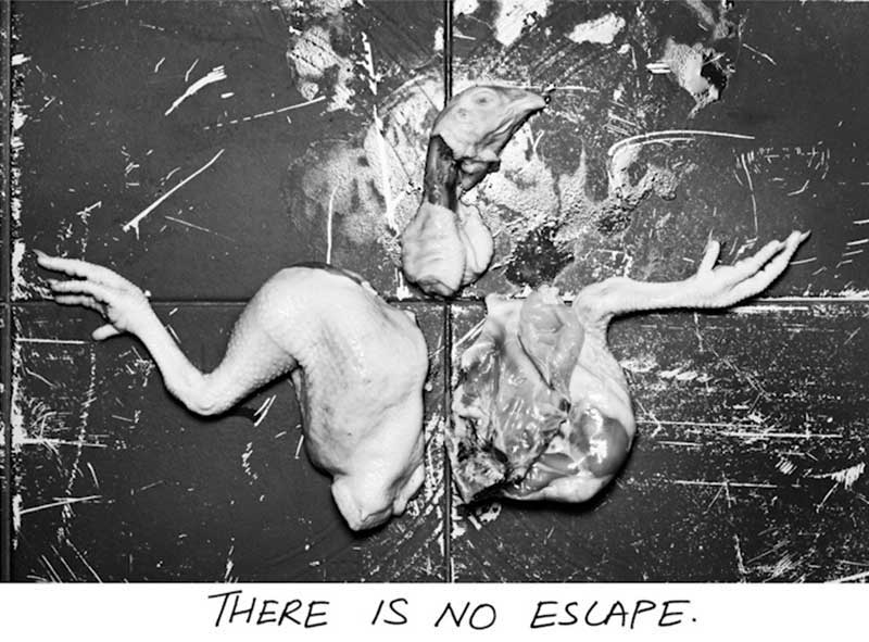 <There is no escape, 2012