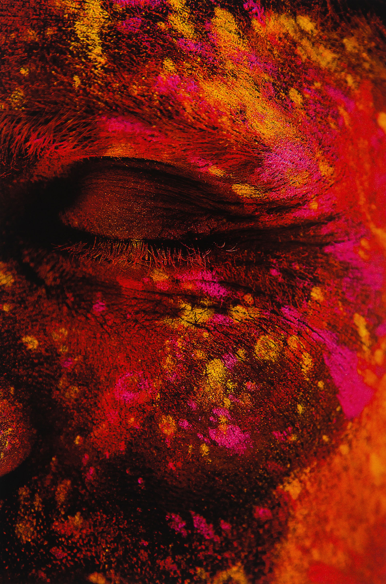<Holi Face, 2007, 