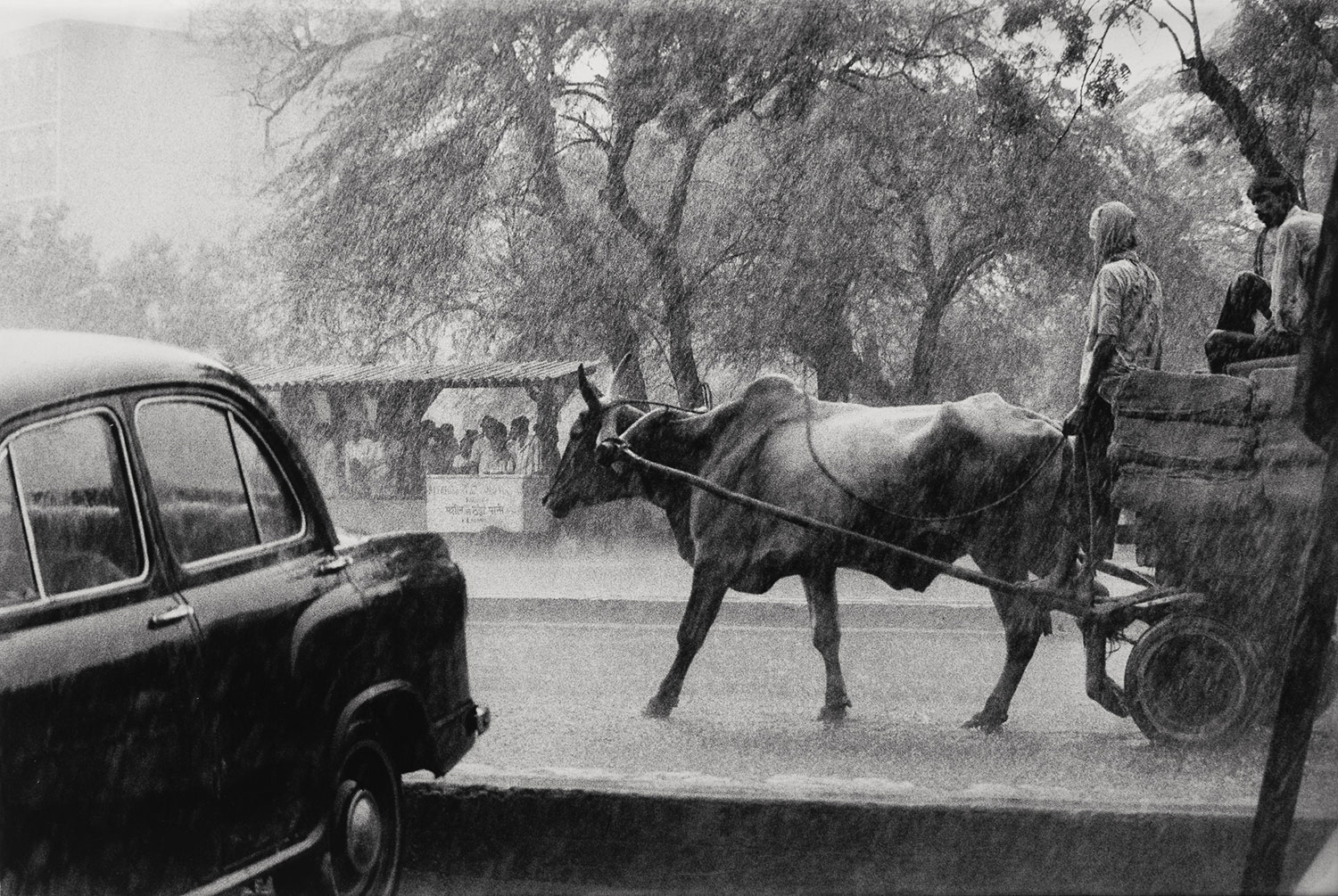 <Monsoon Downpour in Dehli, 1984, 