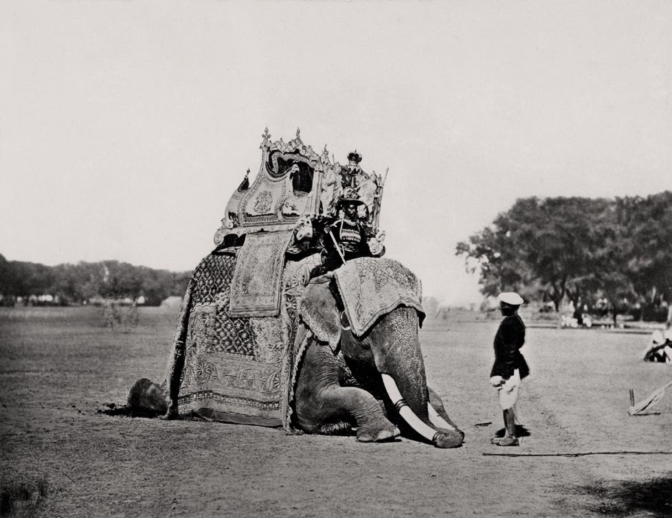 <Delhi, His Eminence, The Viceroy's Elephant, Delhi Durbar, 1877, 1877