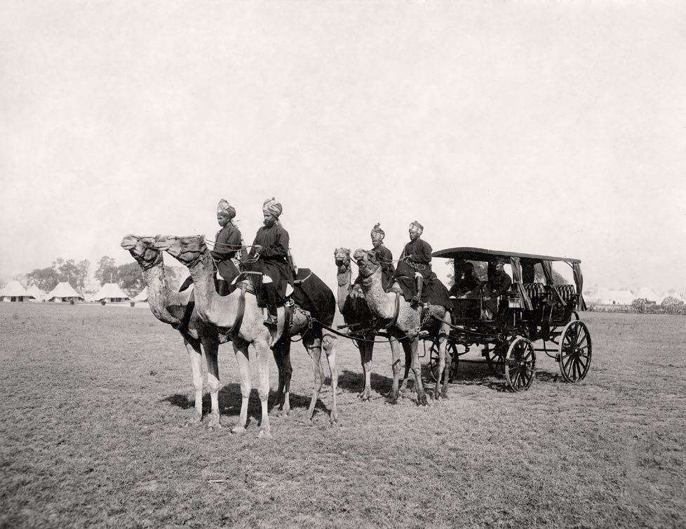 <Delhi, The Delhi Durbar, 1903, 1903