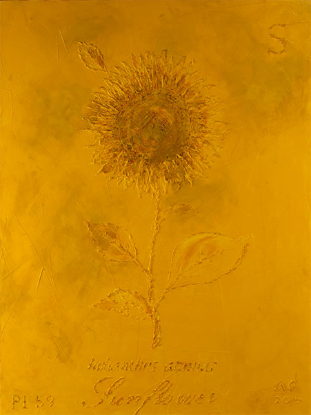 <Sunflower, 2016 - 2017 
