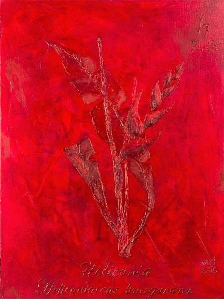 <Heliconia, 2016 - 2017 