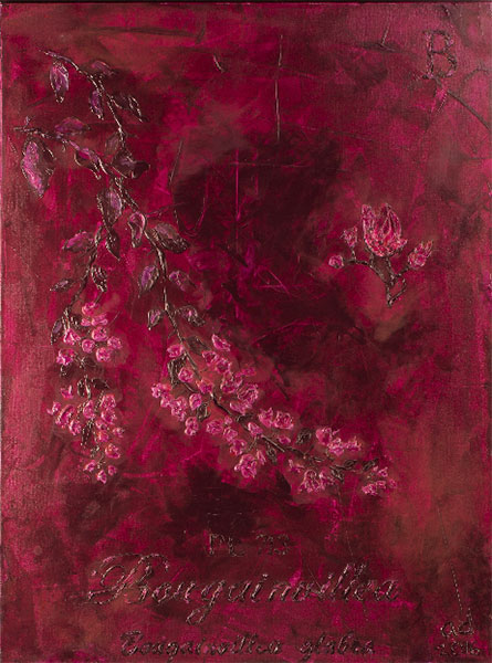 <Bougainvillea , 2016 - 2017 