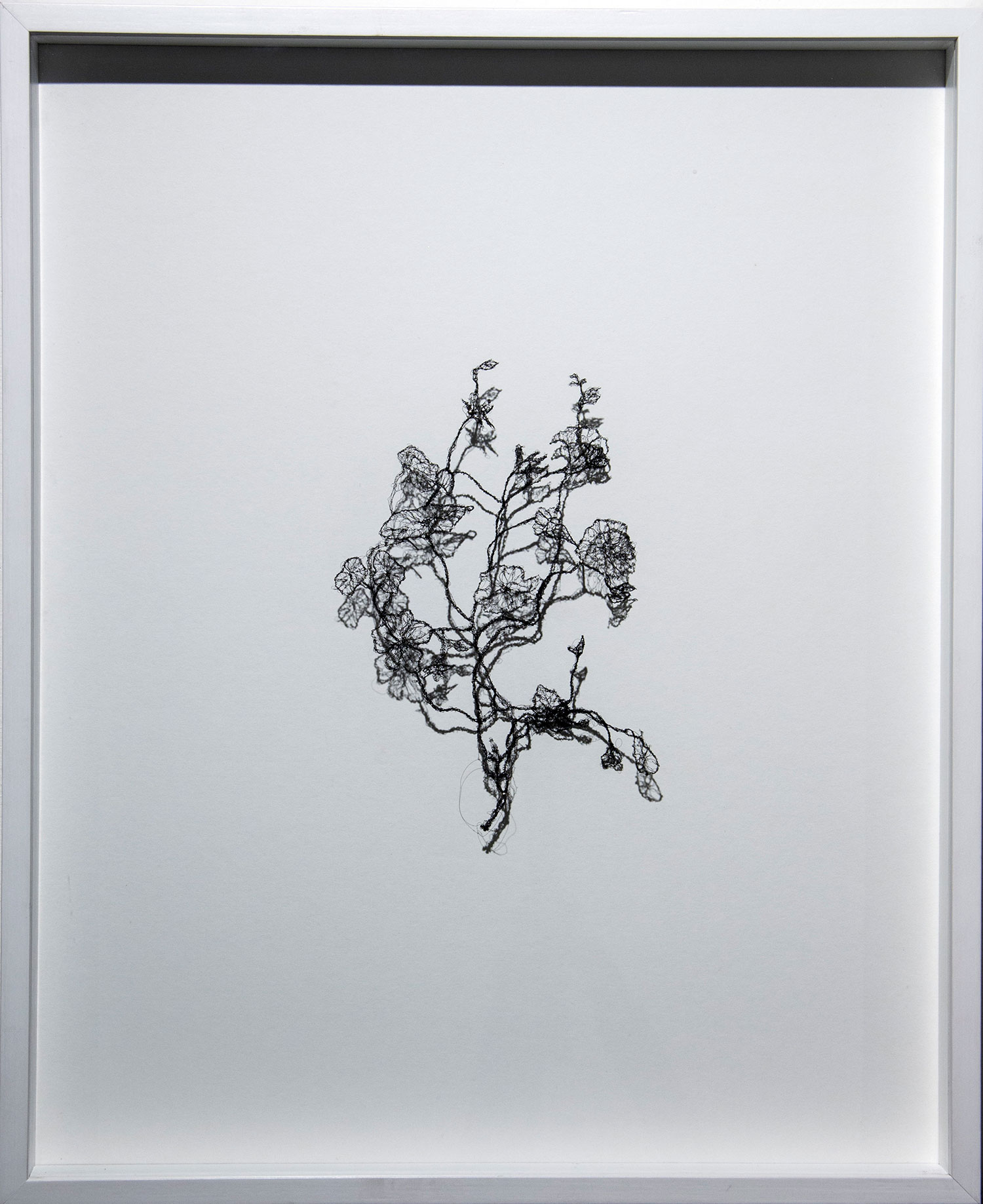 <Untitled , 2015