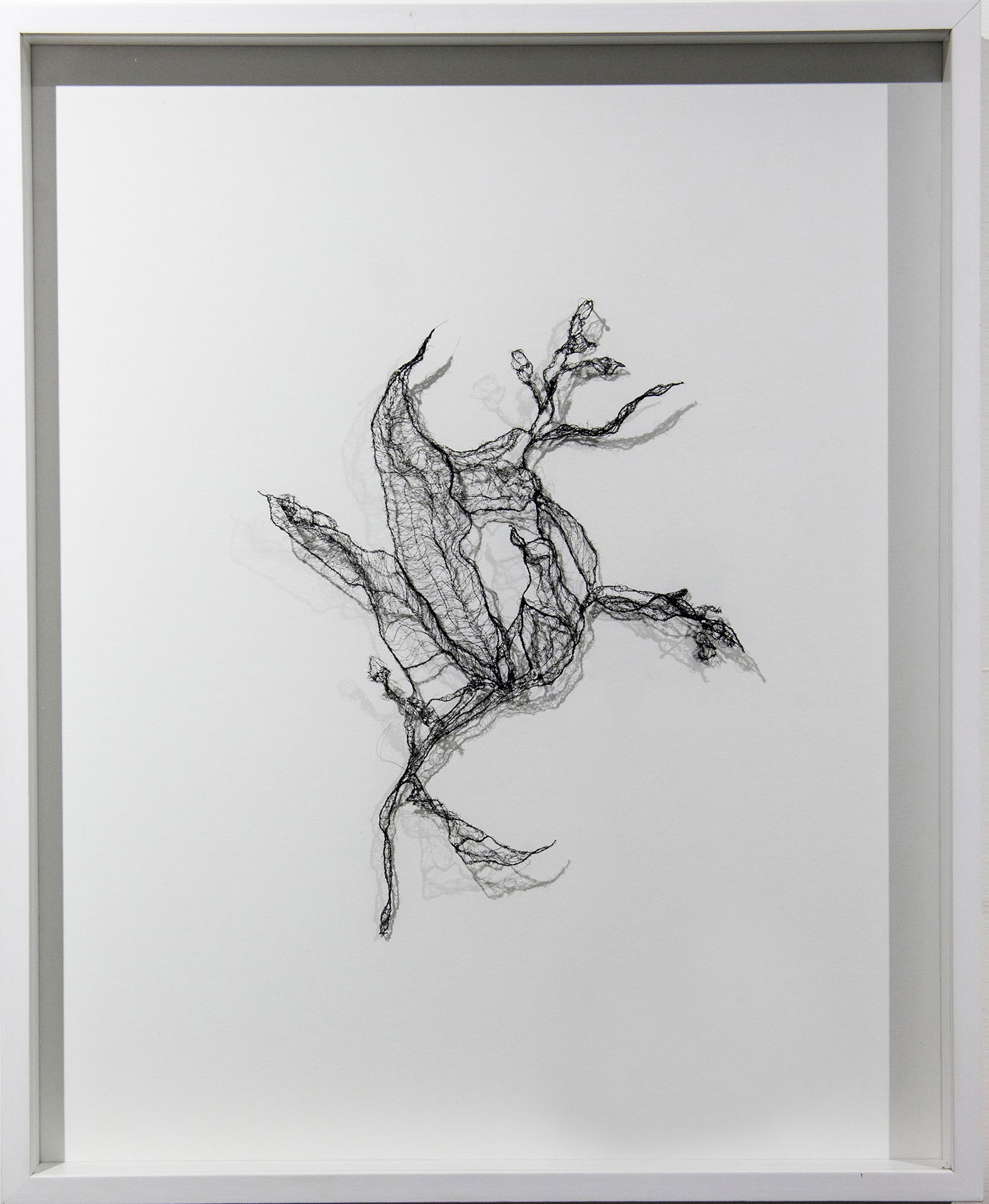<Untitled , 2015