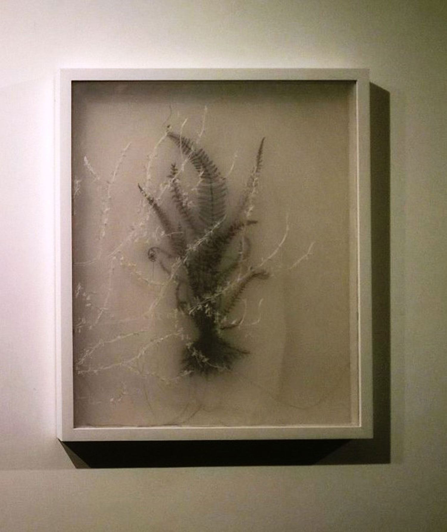 <Untitled , 2015
