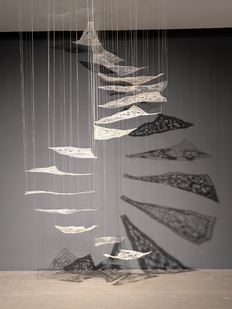 Ascent , 2024