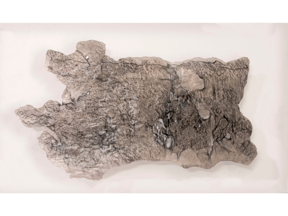Landscape of loss and belonging V , 2024