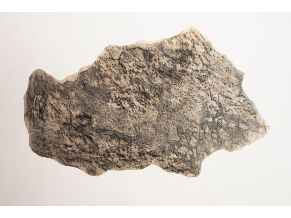 Landscape of loss and belonging VI , 2024