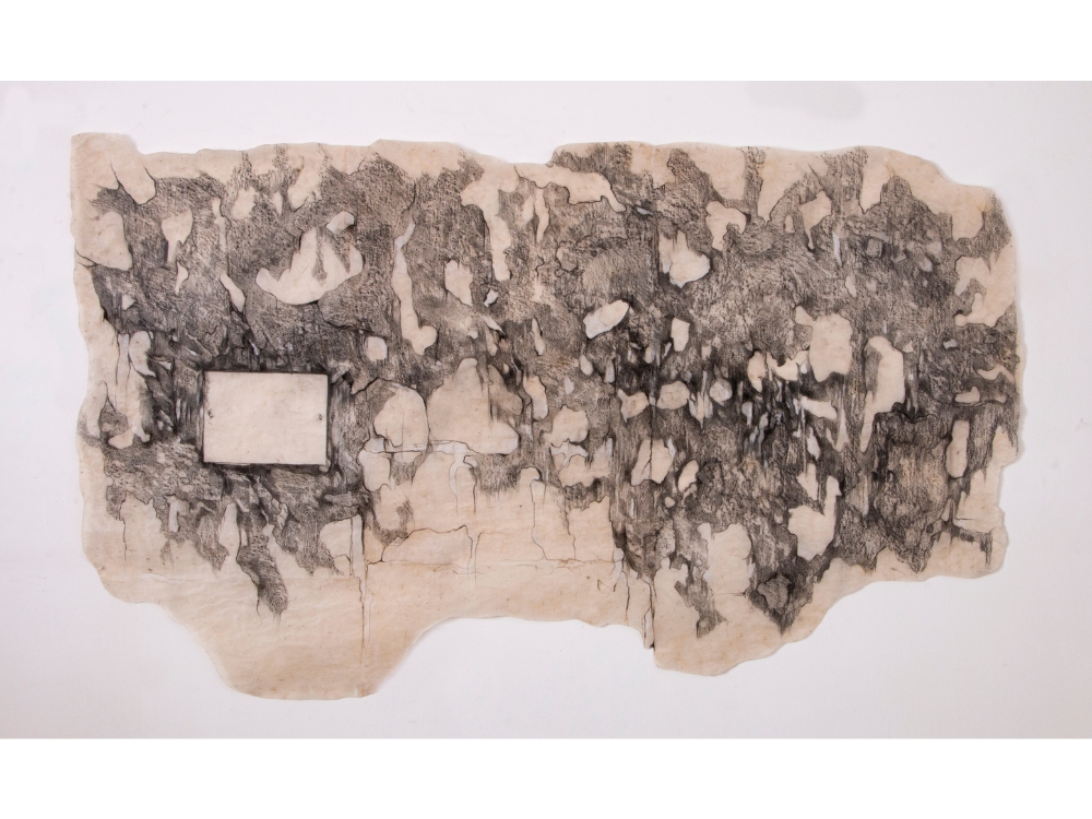 Landscape of loss and belonging II , 2024