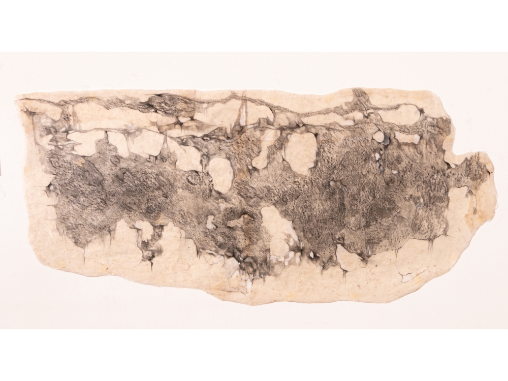 Landscape of loss and belonging III , 2024