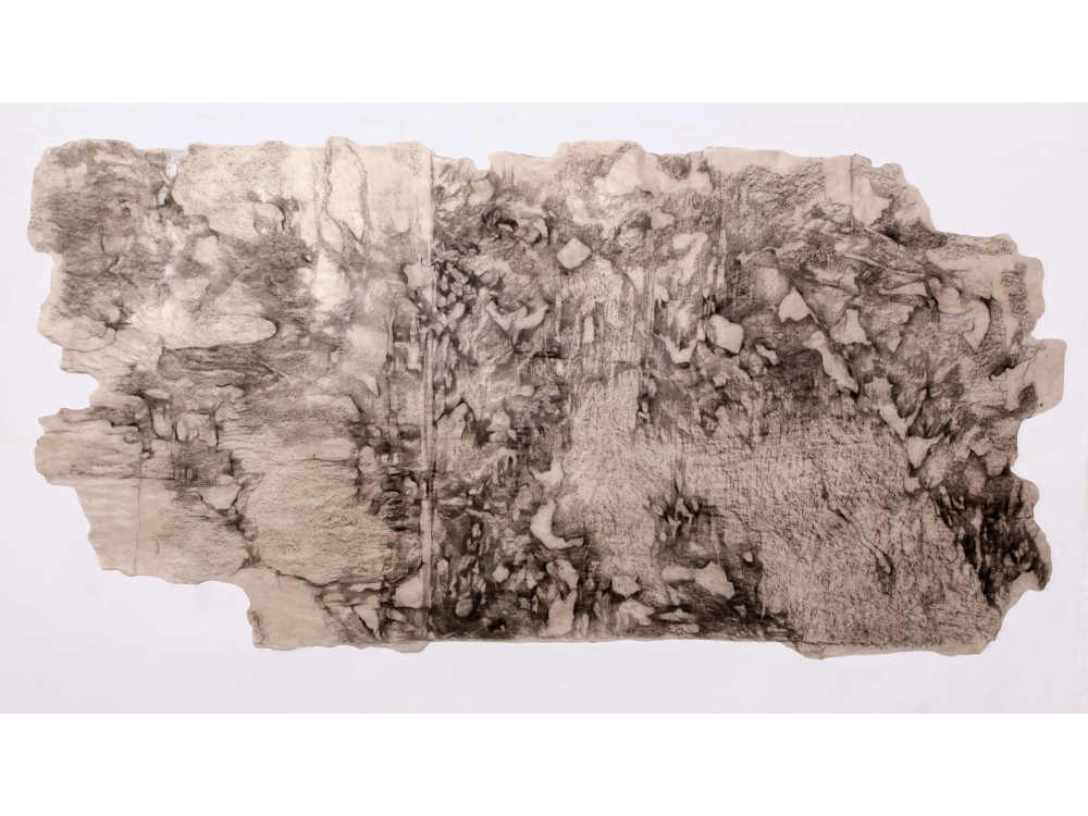 Landscape of loss and belonging IV , 2024