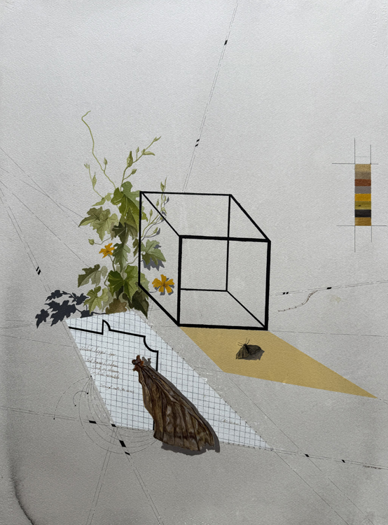 <Echoes of the Moth 1, 2025
