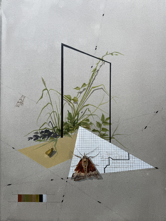 <Echoes of the Moth 2, 2025