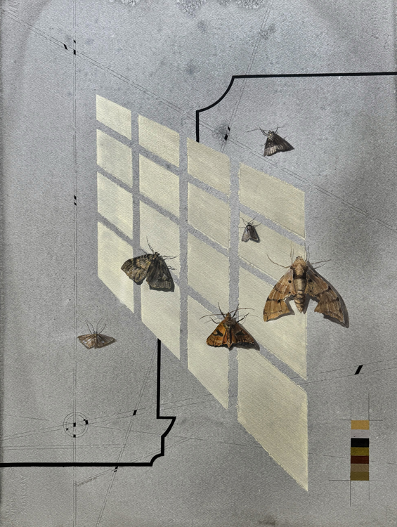 <Echoes of the Moth 3, 2025