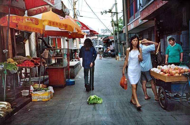 Diary Of A Chinese Cabbage Walker, 2008