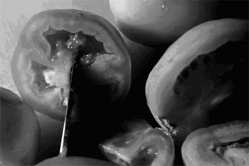 <Still life with vegetables in the kitchen - 14, 2010